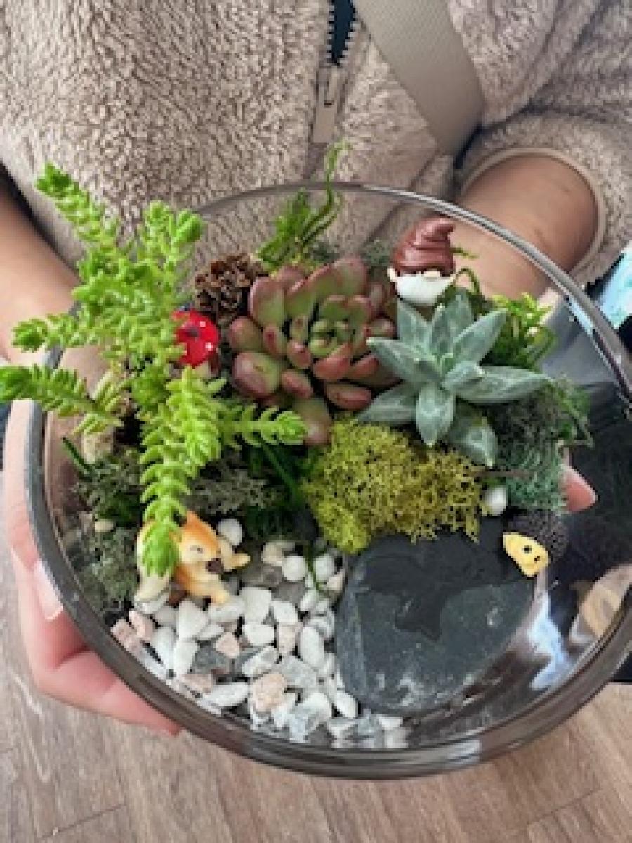 Gathered Botanicals DIY Terrarium Class with Wild Alocasia