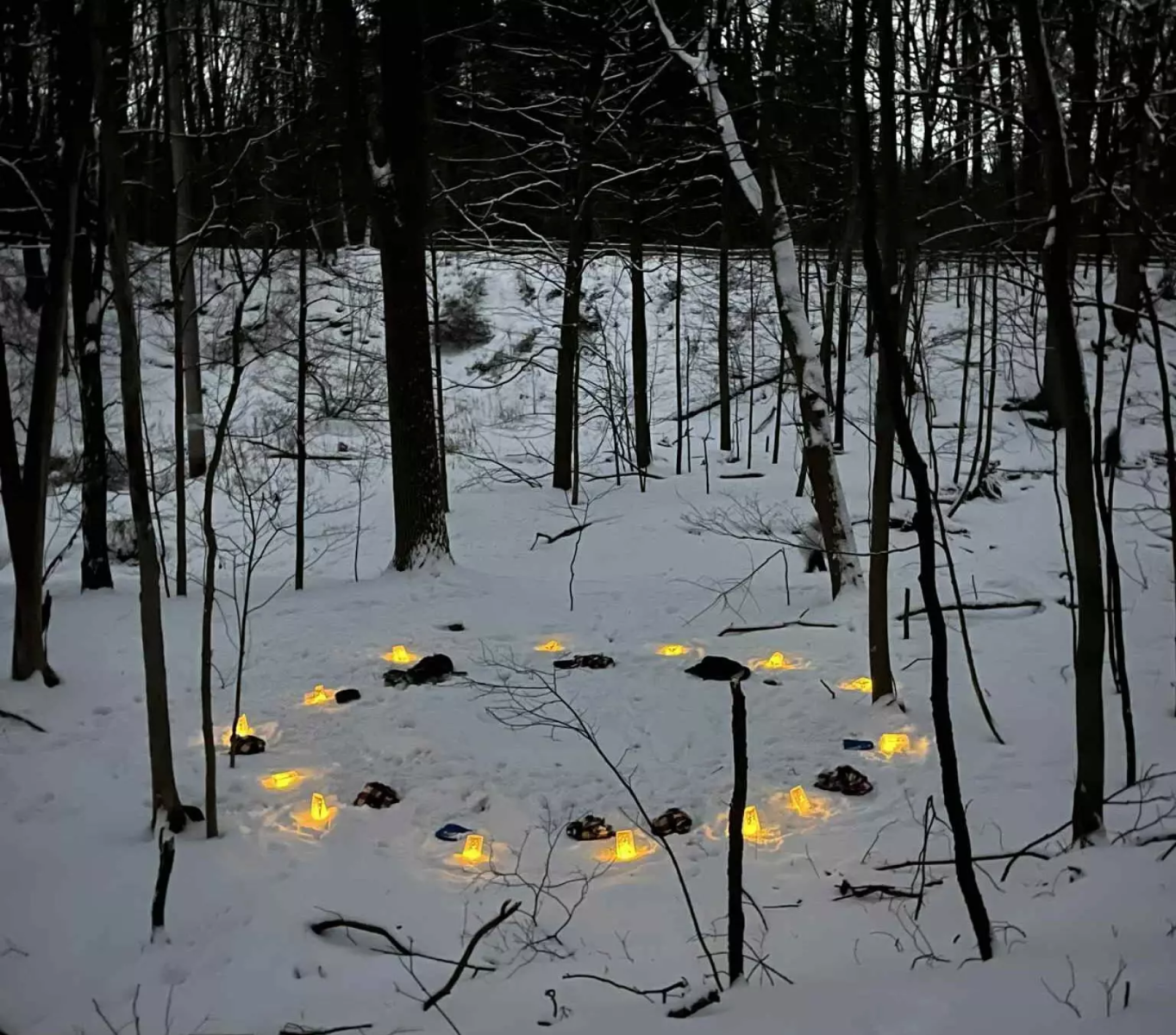 Guided Shinrin-Yoku: Winter After Dark