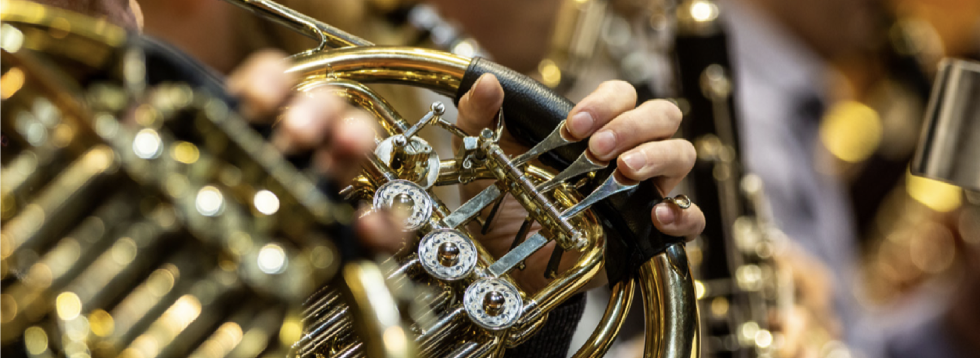 Capitol Horns Quartet + Solo Violin