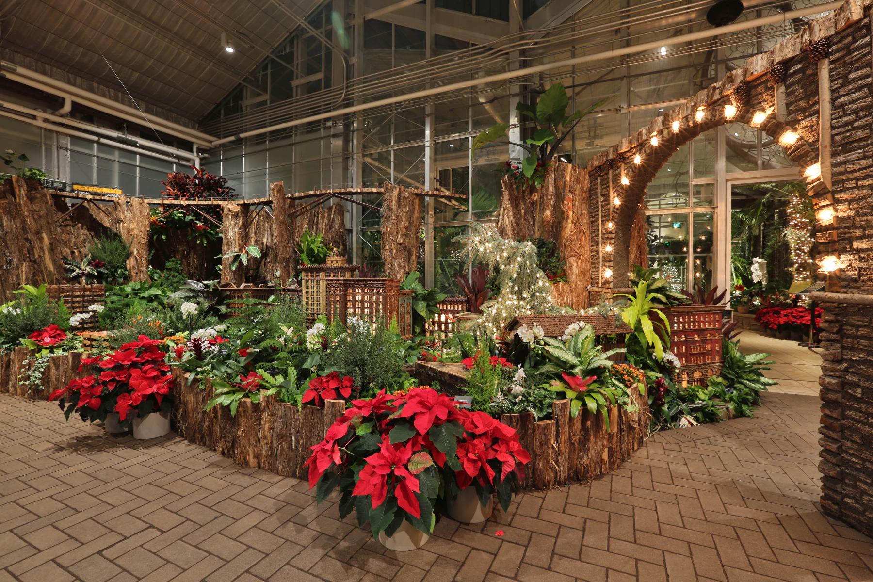 Christmas and Holiday Traditions