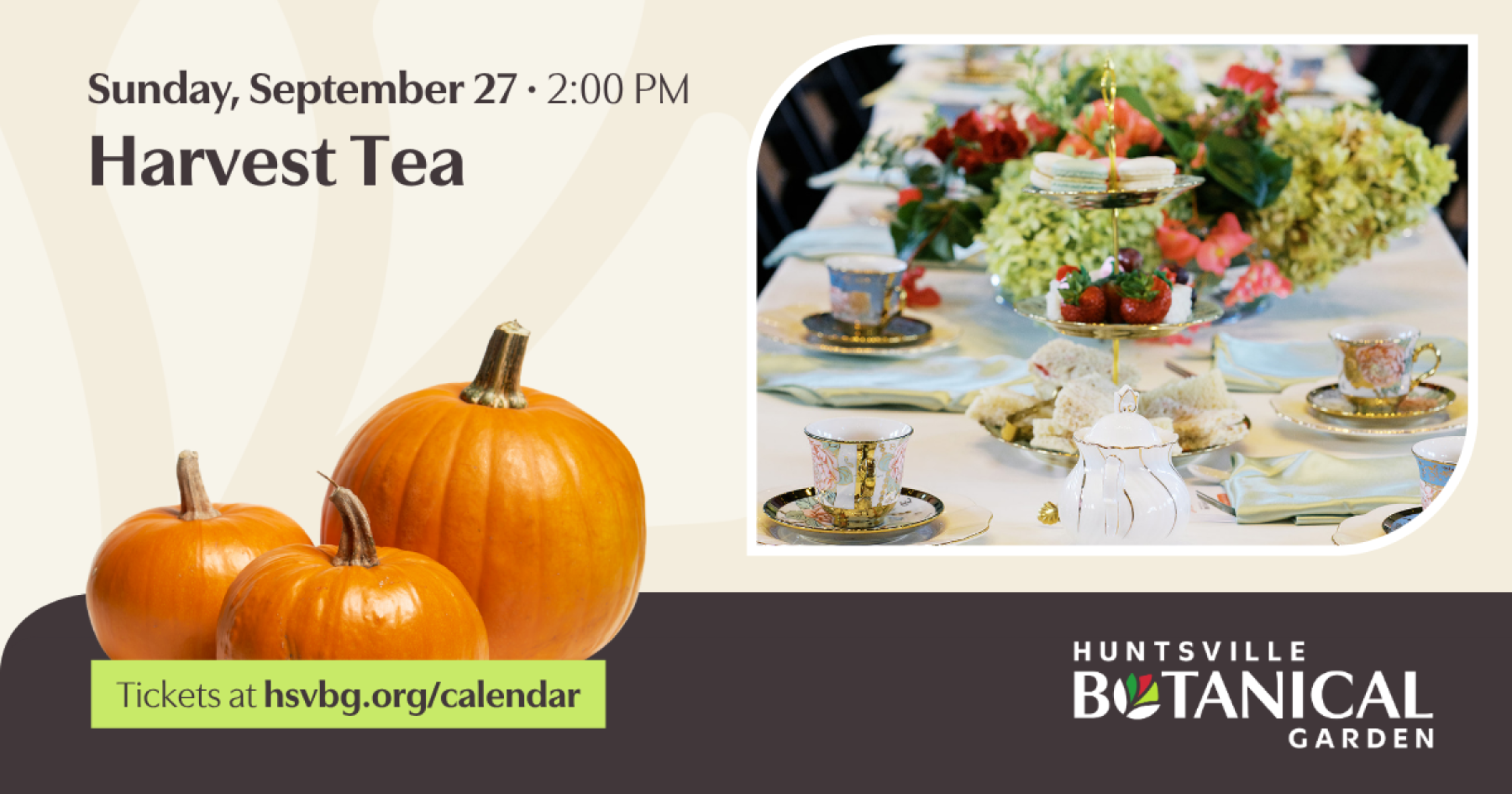 Harvest Tea