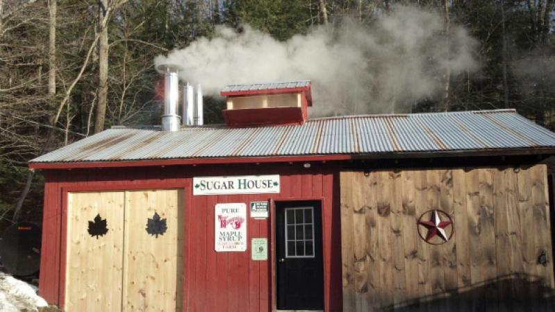 Hillside Sugar Bush