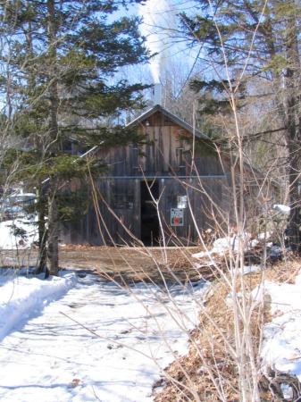 Longview Forest Products