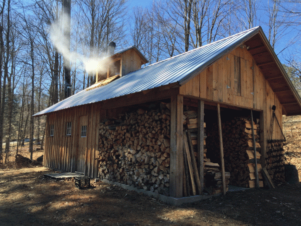 Ragged View Farm