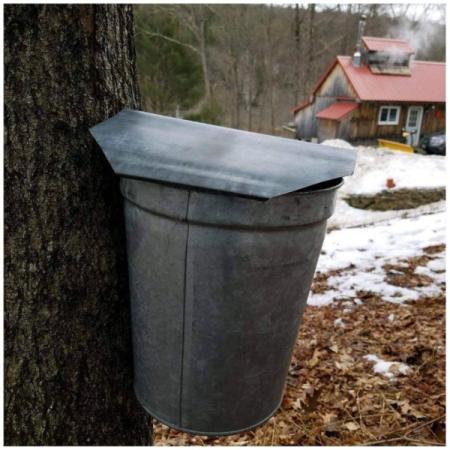 Woodard's Sugar House