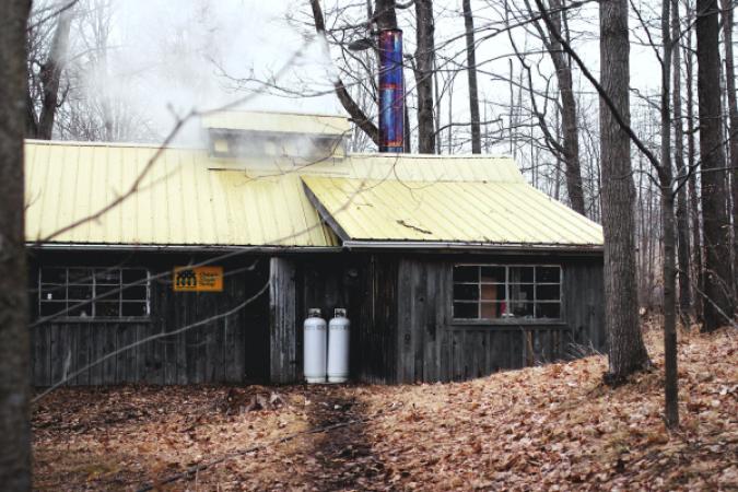 Puddleduck Farm