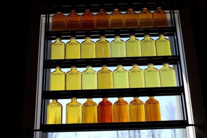 Shaws Maple Syrup