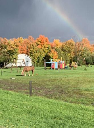Stanleys Olde Maple Lane Farm