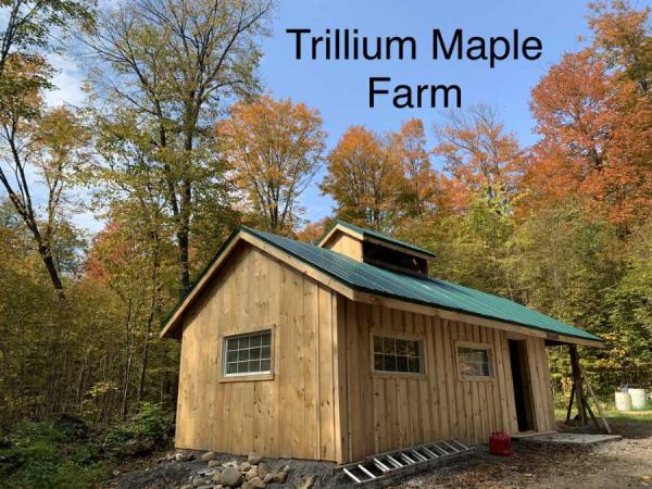Trillium Maple Farm