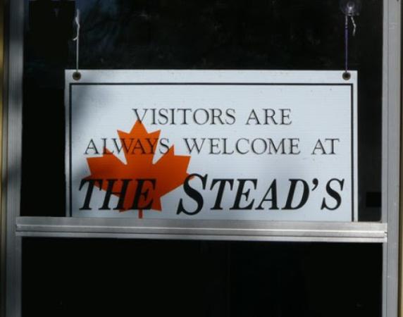 Steads Maple Syrup