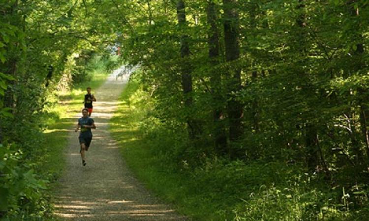 Geauga Park District's Swine Creek Sugarhouse