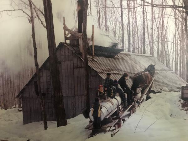 Laurin Maple Syrup Supplies