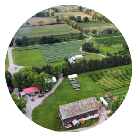 McLean Berry Farm
