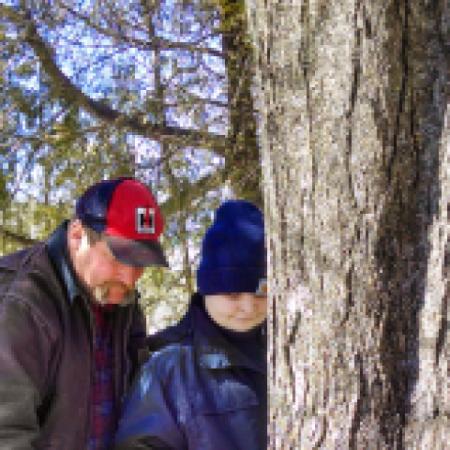 Greene Maple Farm