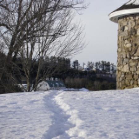 Pineland Farms