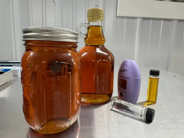 Northern Reach Maple