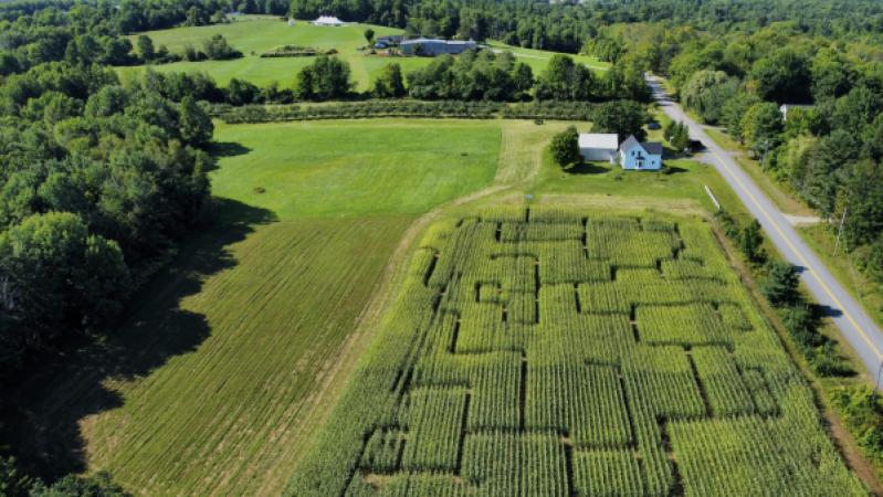 Royal River Orchards