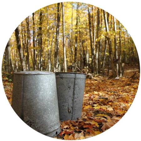 Backwoods Alchemy Maple Farm
