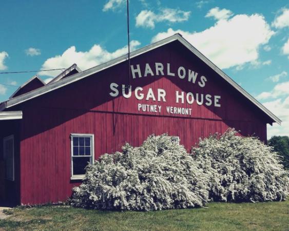 Harlow's Sugar House