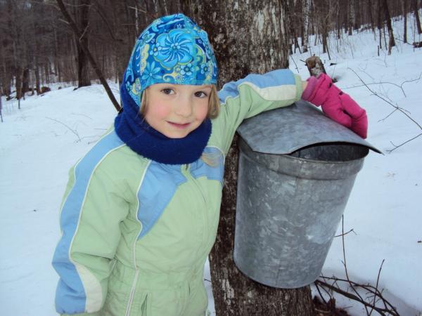 Mahar Maple Farm