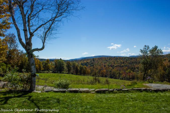 Sugarbush Farm