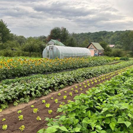 Journey's End Farm
