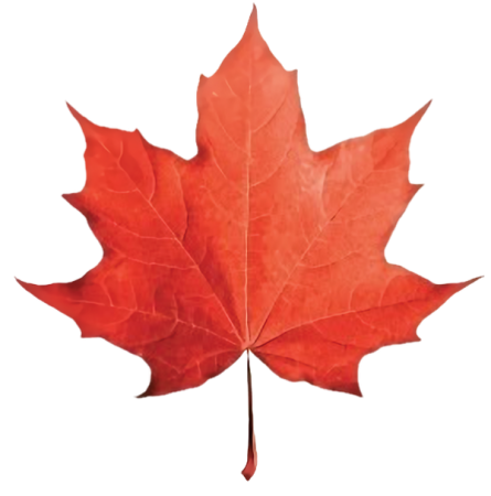 Minehart Gap Maple