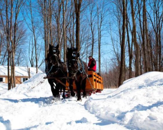 Cabane à sucre d’Amours
