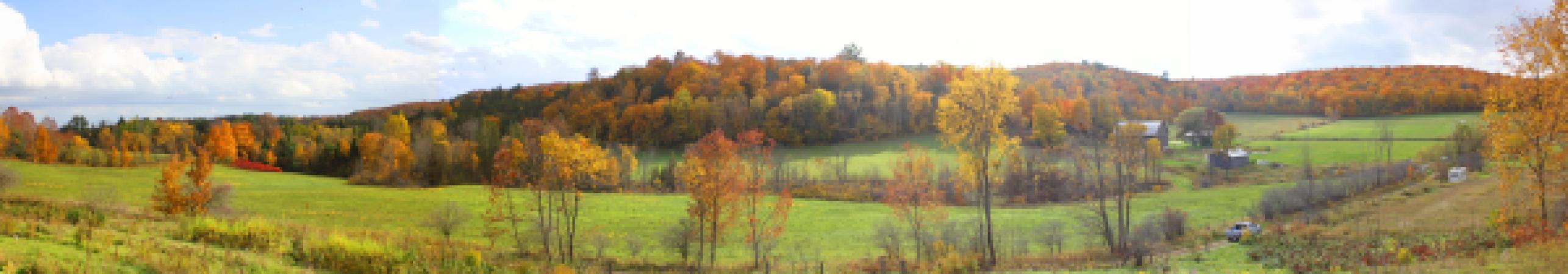 Ferme et Forêt