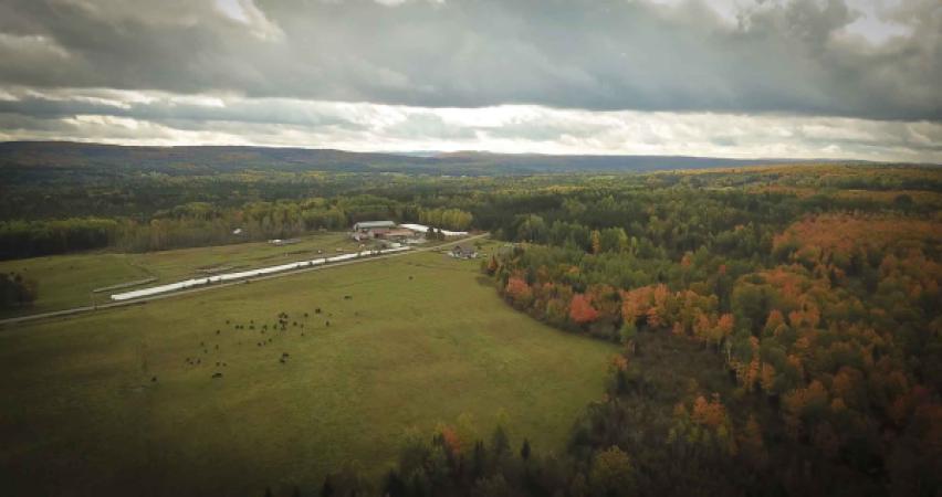 Production F.A.T./Le Broutard des Appalaches