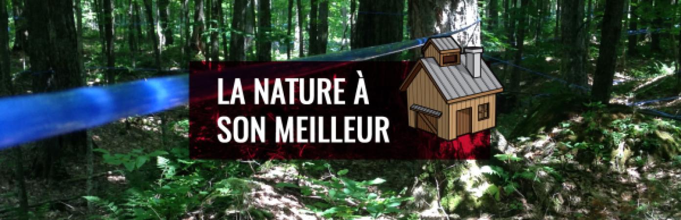 Une troisième Coulée
