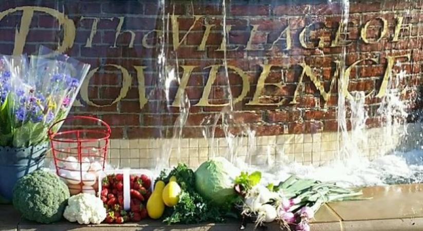 Artisans and Farmers Market