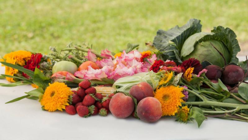 Bailey Cove Farmers Market