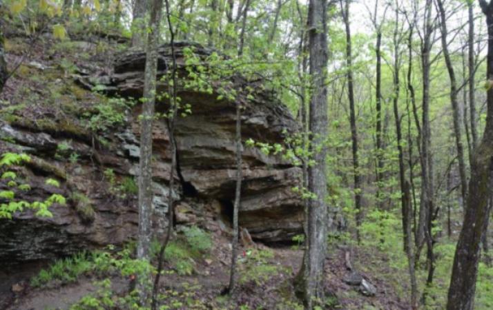 Green Mountain Nature Preserve