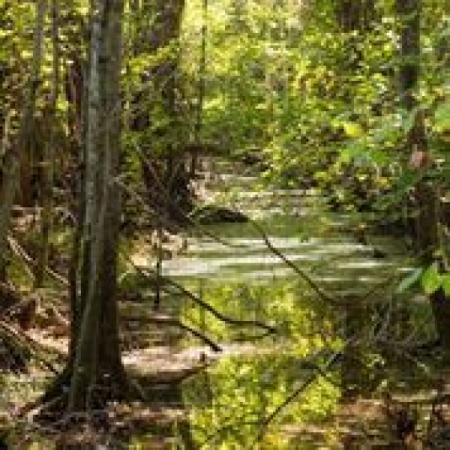 Goldsmith-Schiffman Wildlife Sanctuary