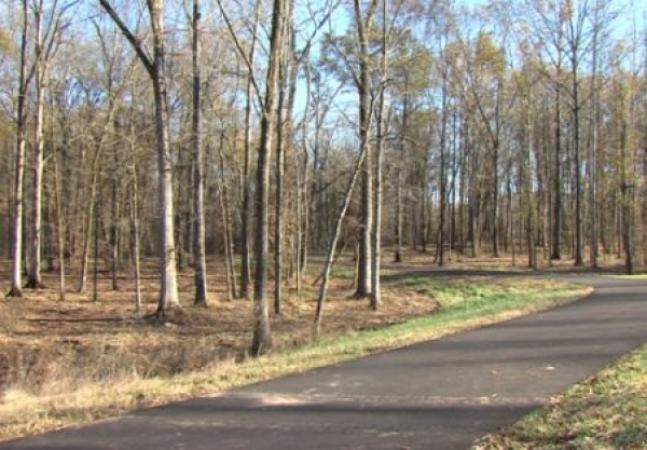 Elgie's Walk Greenway