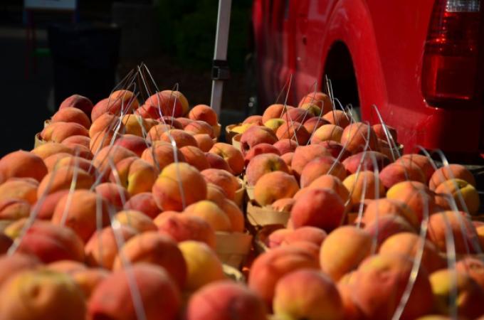 Latham UMC Farmers Market