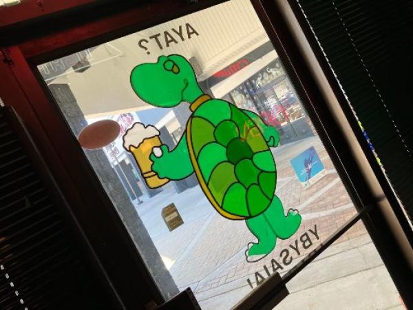 Thirsty Turtle