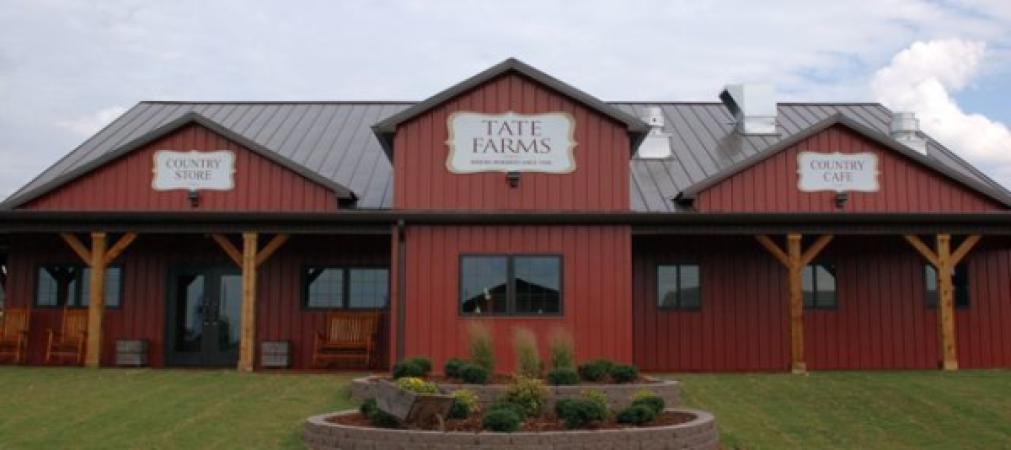 Tate Farms Cotton Pickin Pumpkins
