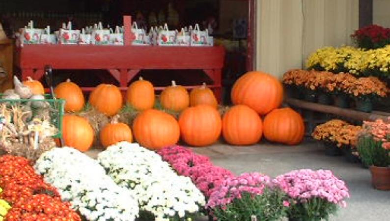 Madison County Farmers Market