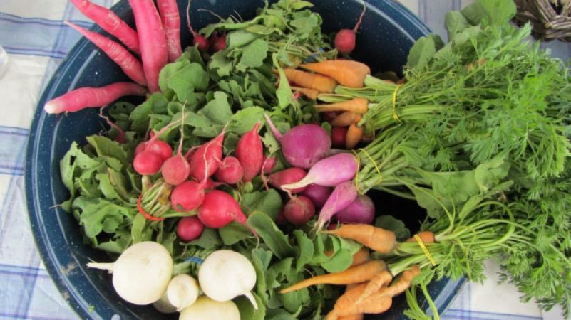 Madison City Farmers Market