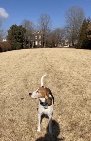 Bunny's Hill