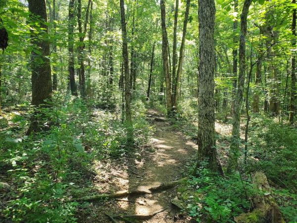 Wade Mountain Nature Preserve