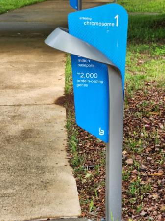 McMillian Park Double Helix Trail