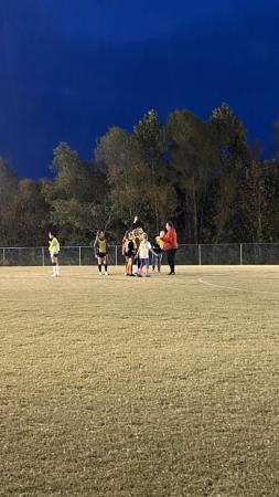 Cove Park