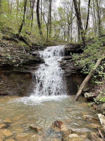Alum Hollow