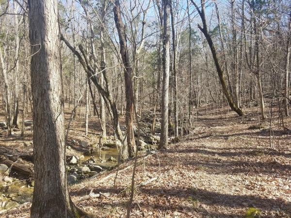Fanning Trail Trailhead