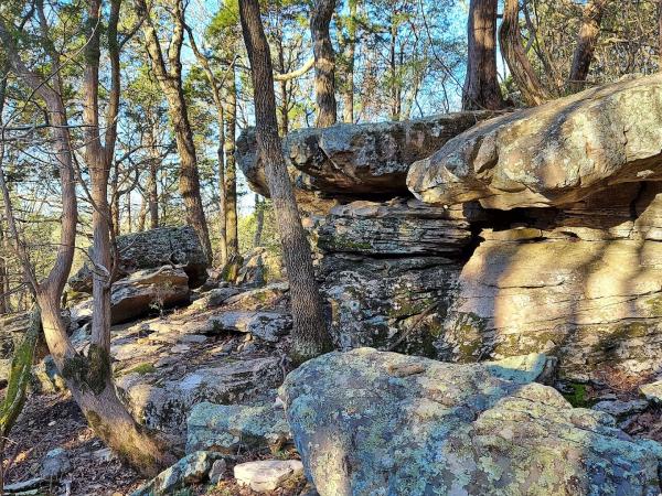 Sugar Tree Trail Head