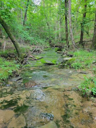 The Big Cat Creek Tract